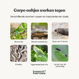 Carpo - tegen trips