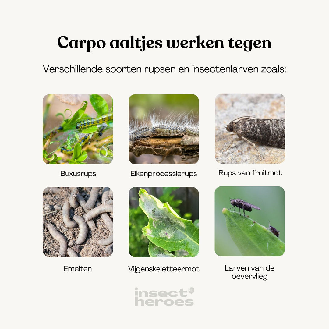 Carpo - tegen vijgenskeletteermot