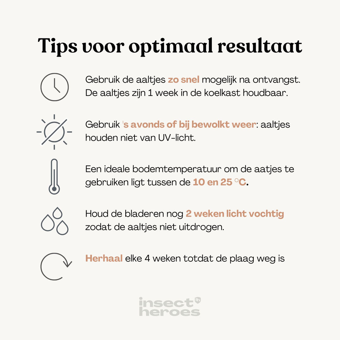 Tips voor het gebruiken van felti: 1. Gebruik zo snel mogelijk na ontvangst; 2. gebruik  's avonds of bij bewolkt weer; 3. een ideale bodemtemperatuur ligt tussen 10 en 25 graden celsius; 4. Houdt na gebruik de bladeren nog 2 weken vochtig; 5. herhaal elke 4 weken totdat de plaag weg is.