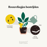 Diagram opstelling Rouwvliegjes bestrijden