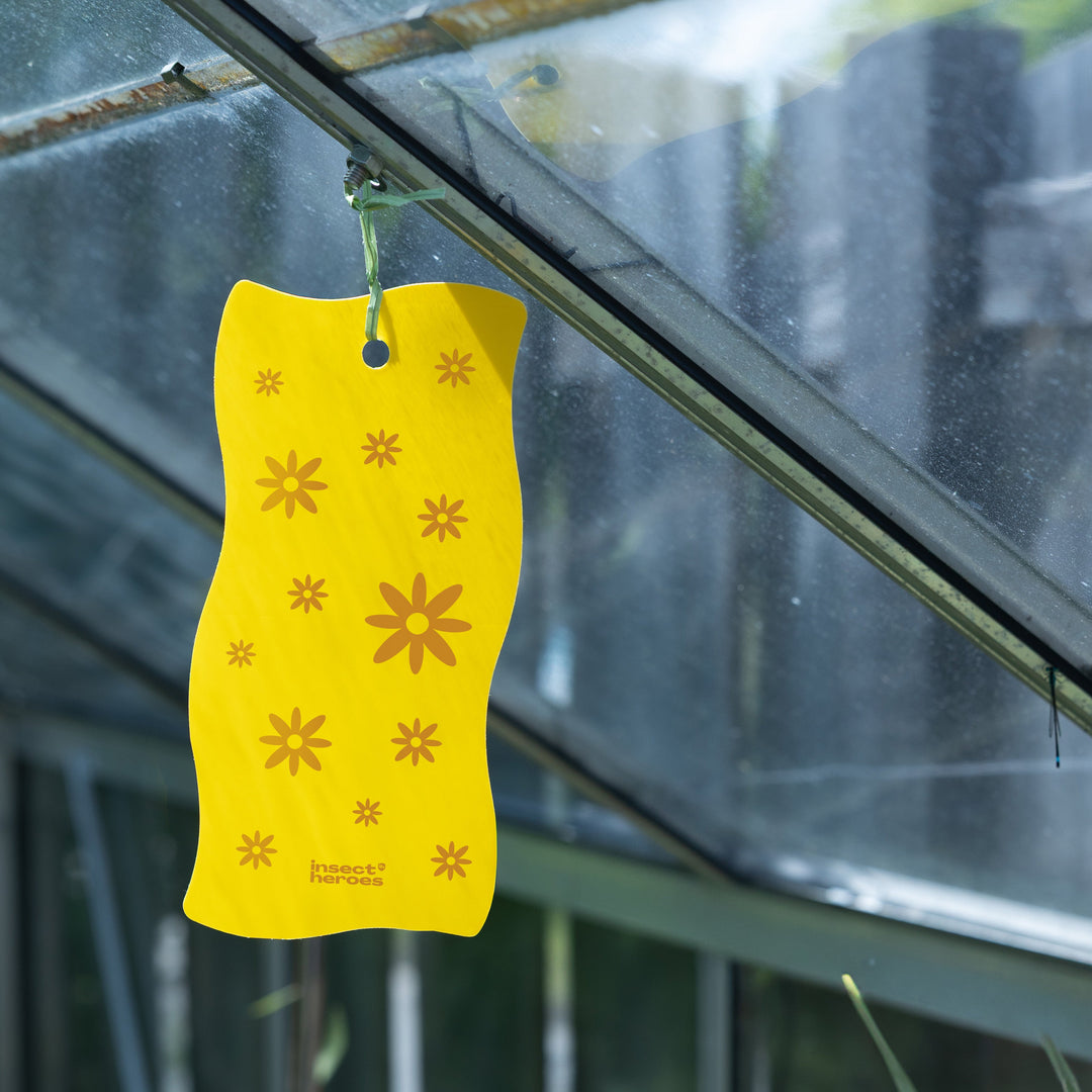 Sticky leaf Flower hangt aan een dakraam