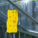 Sticky leaf Flower hangt aan een dakraam