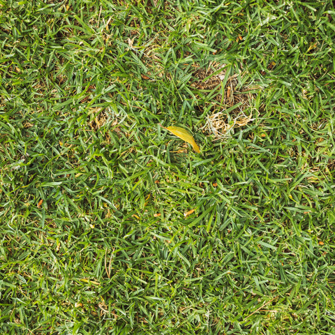 Image 43561578070346