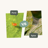 Persi - against spider mites